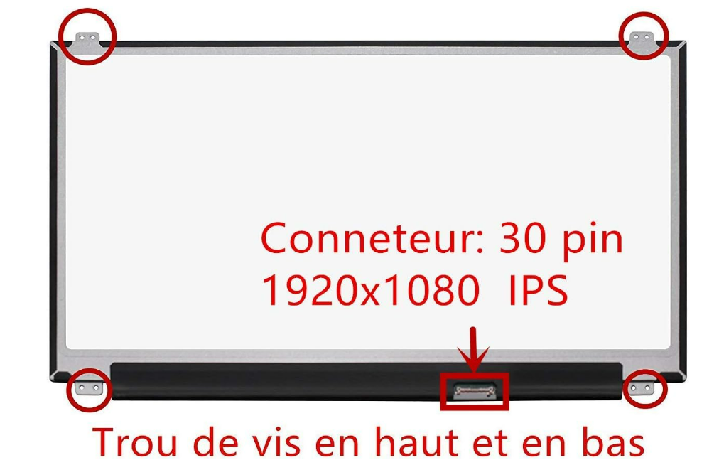 Screenshot 2024-12-05 114919